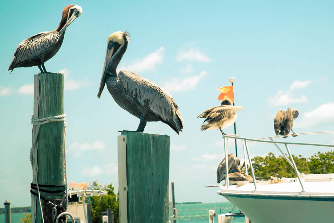 Downtown-Fort-myers-beach6.jpg